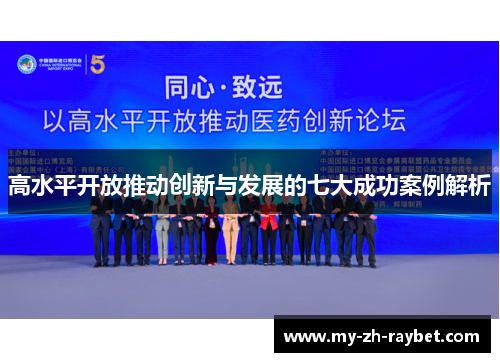 高水平开放推动创新与发展的七大成功案例解析