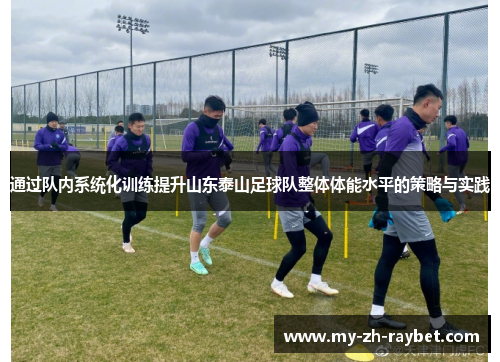 通过队内系统化训练提升山东泰山足球队整体体能水平的策略与实践 通过队内系统化训练提升山东泰山足球队整体体能水平的策略与实践